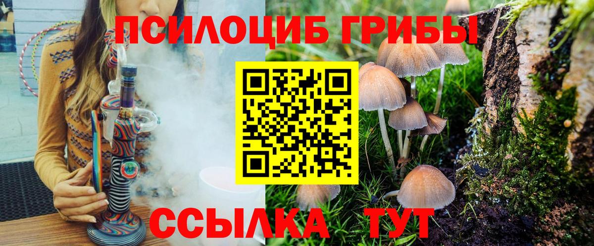 Псилоцибиновые грибы Psilocybine cubensis Городец