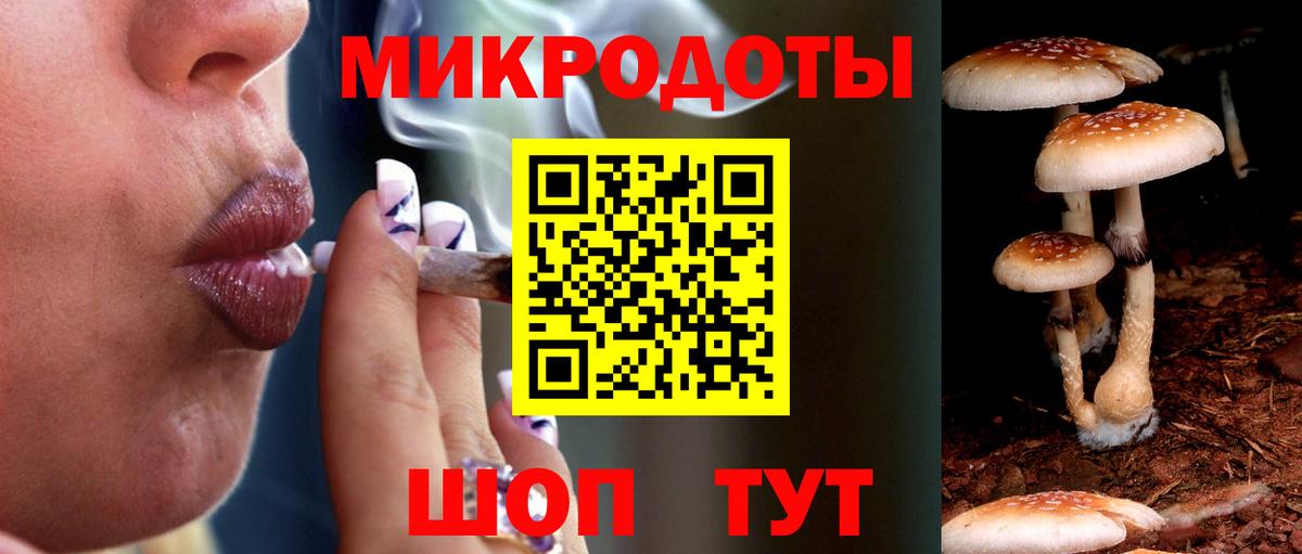 Городец  Псилоцибиновые грибы Psilocybine cubensis  Галлюциногенные грибы мицелий  Вход с VPN 